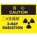 中英文当心标识（当心：X光辐射）（含图标）